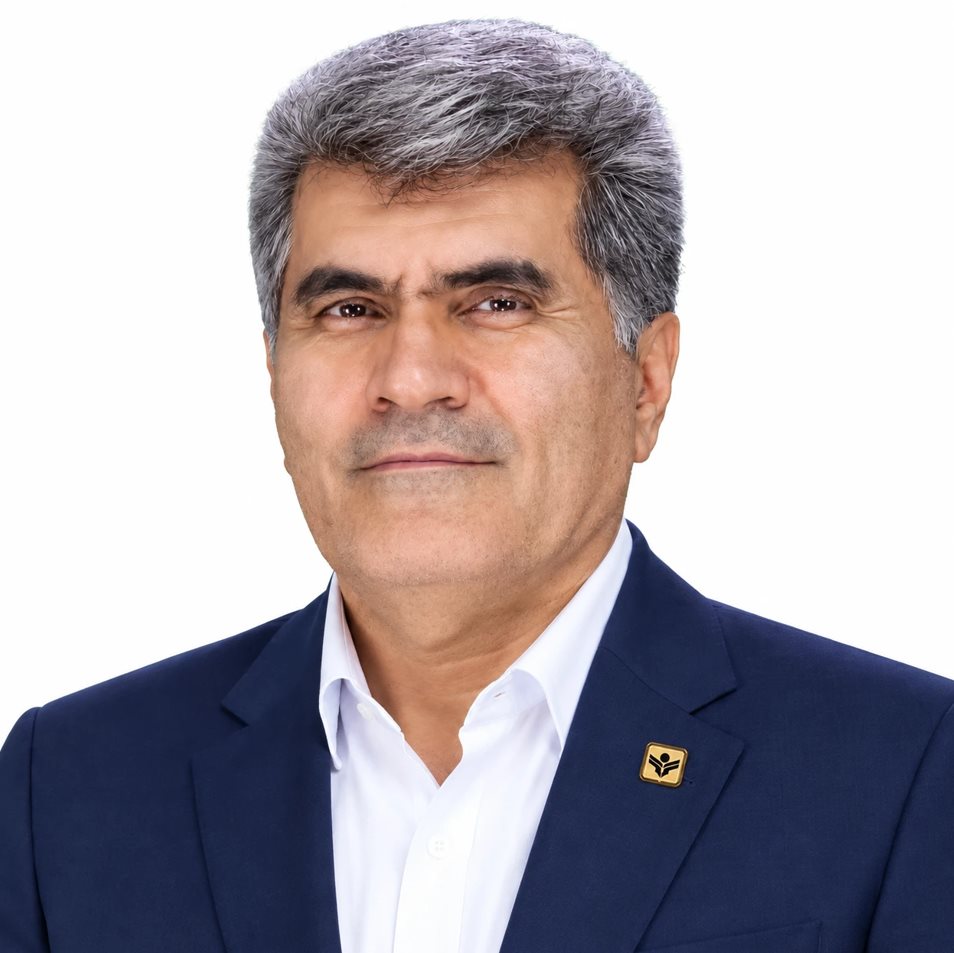 حسن ولی‌بیگی